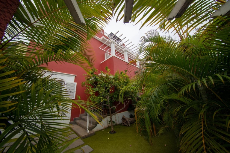 Backyard - Mozart Coliving