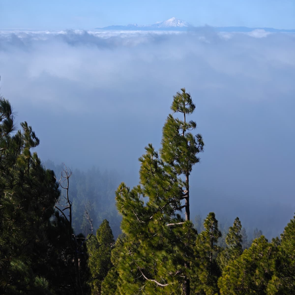 PHOTO-2025-12-20-13-43-46