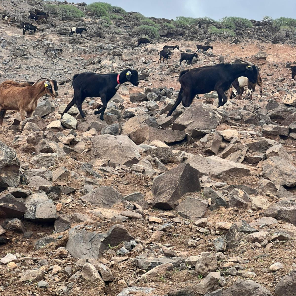 PHOTO-2025-12-26-12-42-04