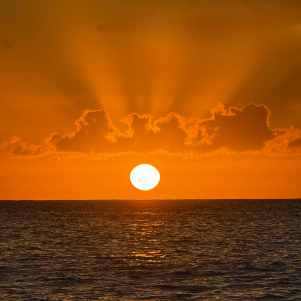 PHOTO-2025-12-26-20-06-23