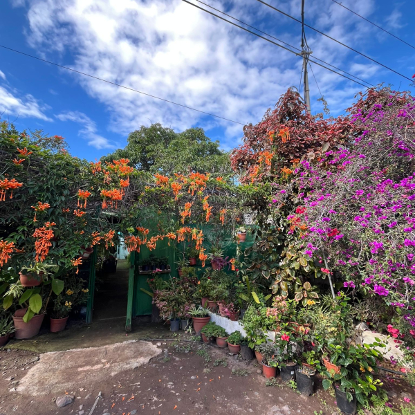 PHOTO-2025-12-27-14-52-45