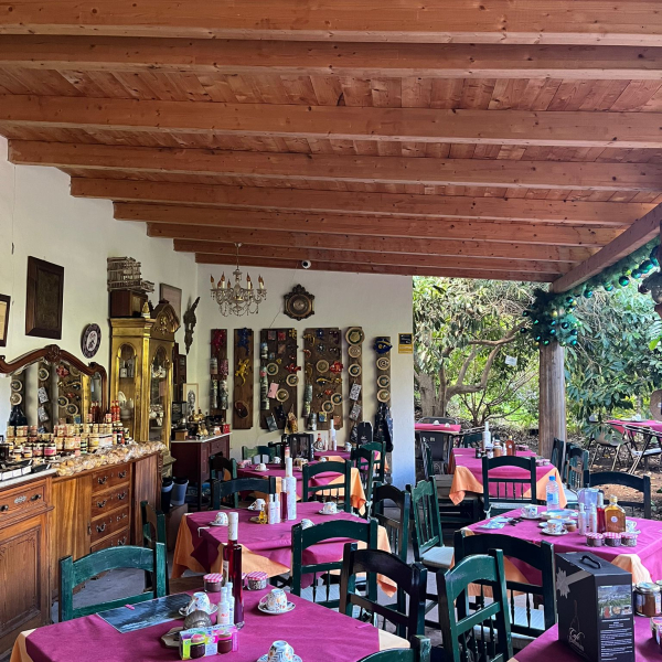 PHOTO-2025-12-27-14-52-46 2