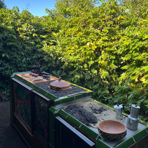 PHOTO-2025-12-27-14-52-46