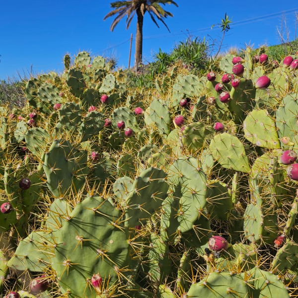 PHOTO-2025-12-27-16-03-40 2