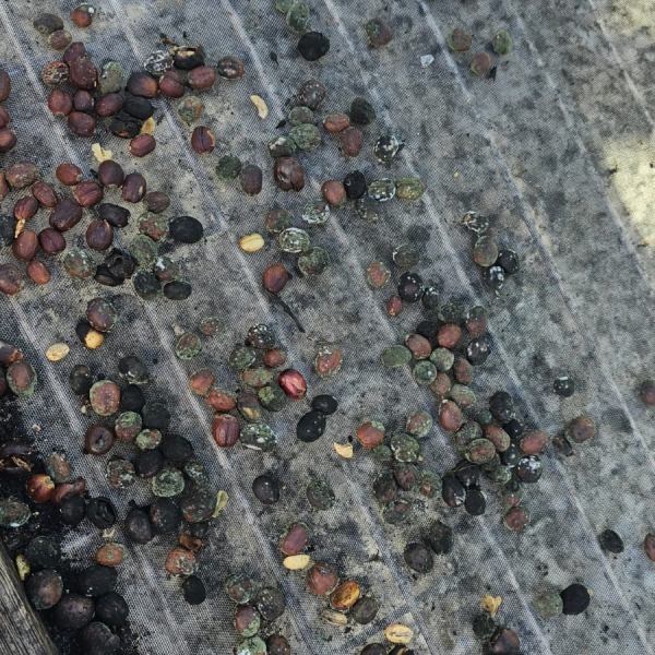 PHOTO-2025-12-27-16-03-43 2