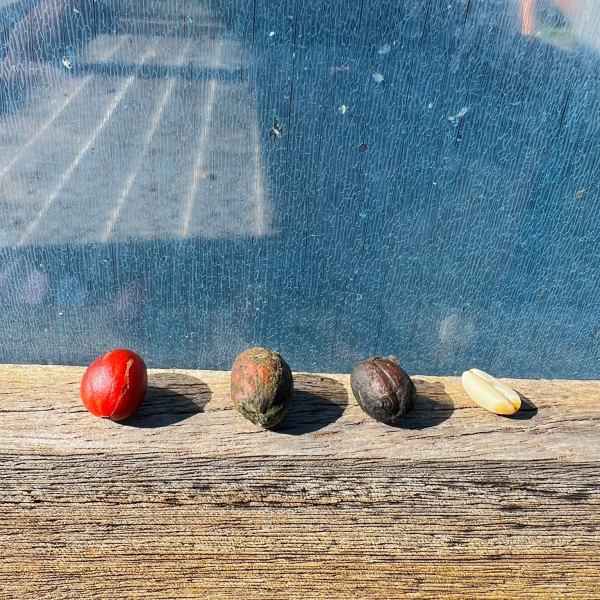 PHOTO-2025-12-27-17-54-54