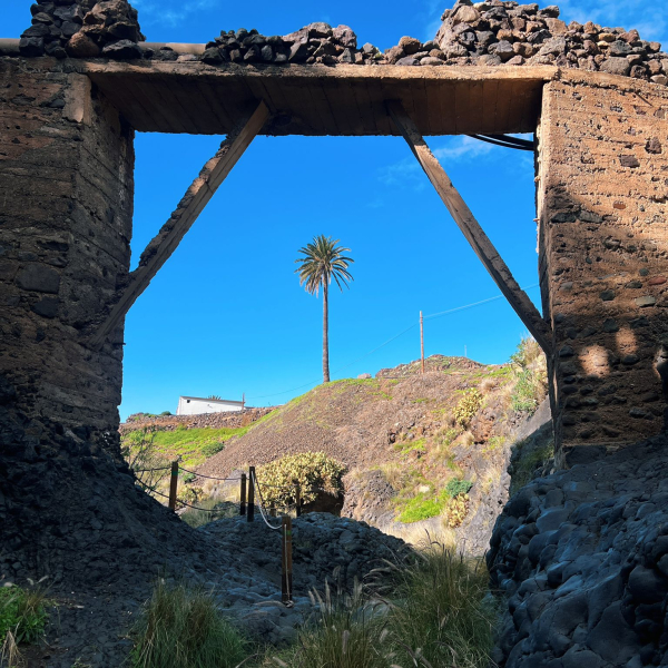 PHOTO-2025-12-27-17-54-56 2