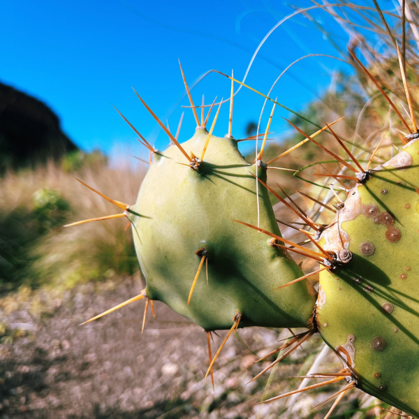 PHOTO-2025-12-27-17-54-56 3