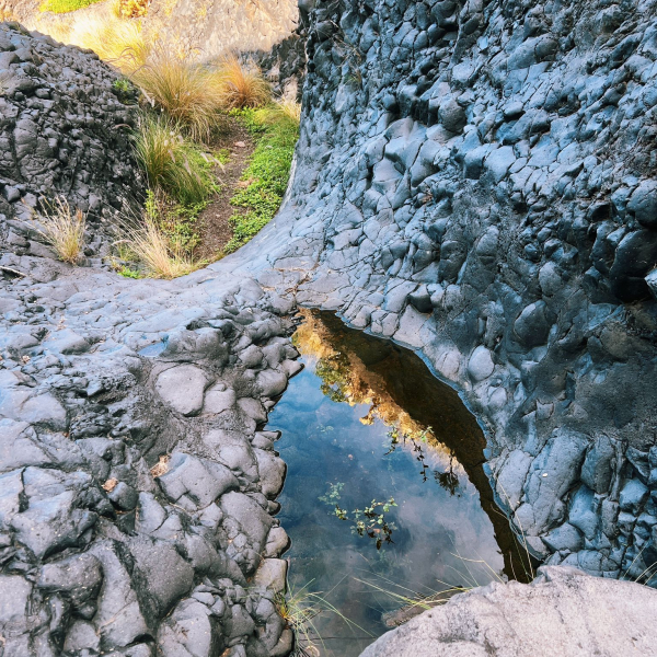 PHOTO-2025-12-27-17-54-56