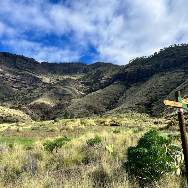 PHOTO-2025-12-28-12-15-52