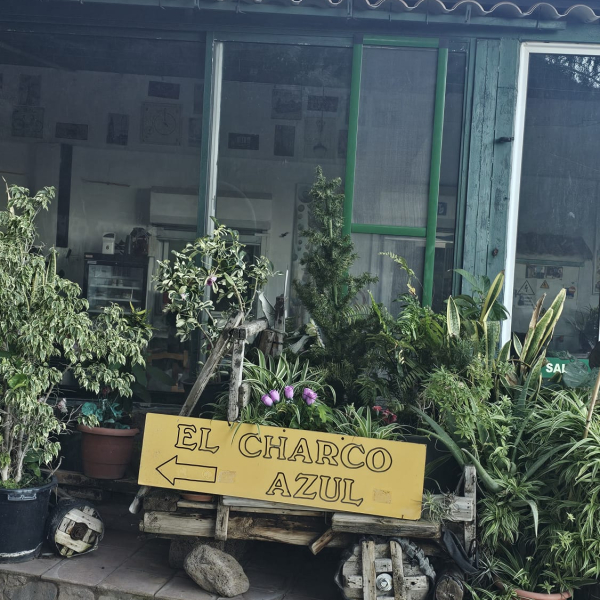 PHOTO-2025-12-28-13-48-27