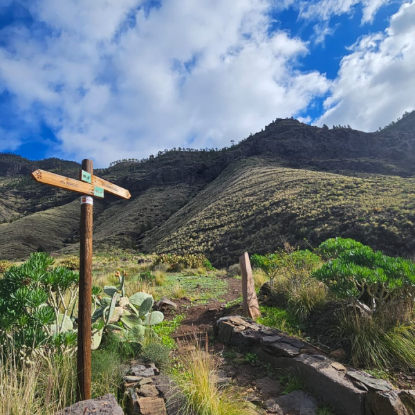 PHOTO-2025-12-28-13-48-35 3