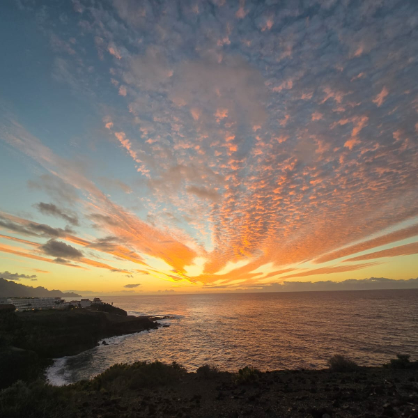 PHOTO-2026-01-04-18-28-21